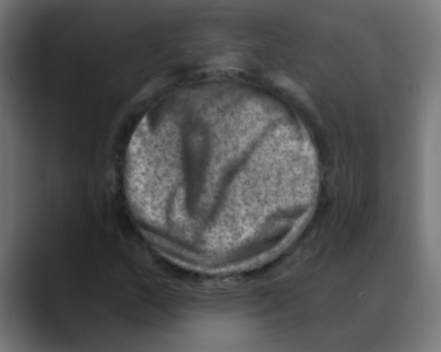 X0000088451159200706191306