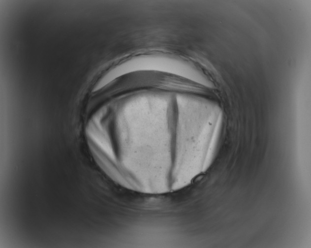 X0000088451160200706191306