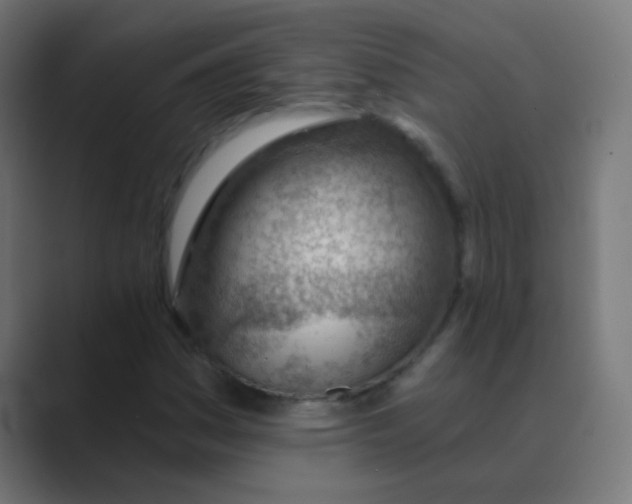 X0000088451161200706191306