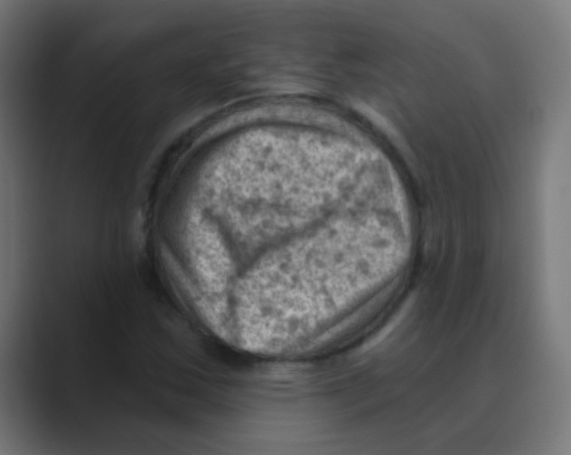X0000088451163200706191306
