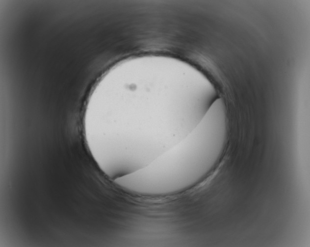 X0000088451164200706191306