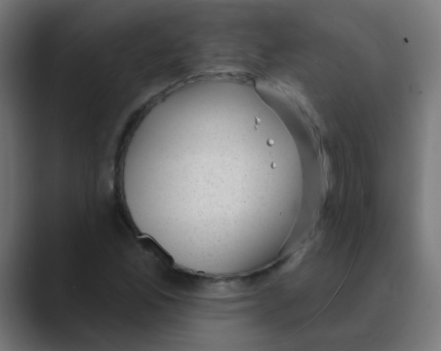 X0000088451165200706191306