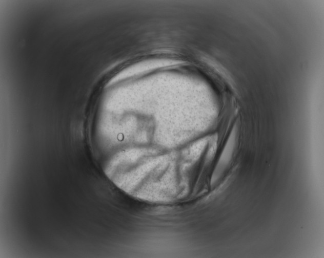 X0000088451166200706191306