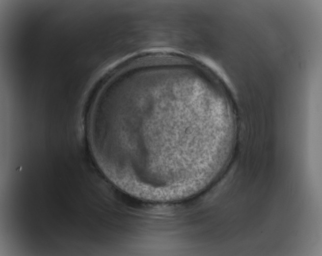 X0000088451167200706191306