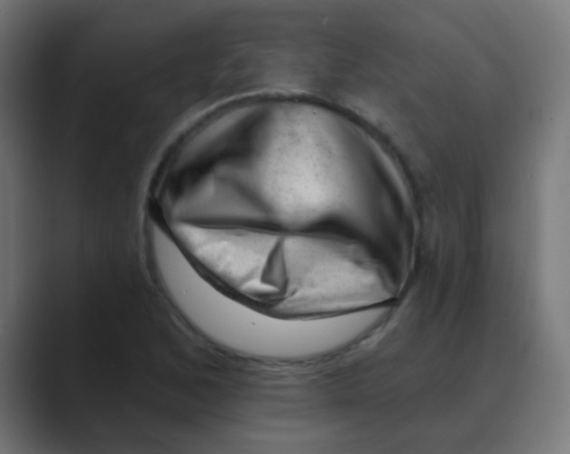X0000088451168200706191306