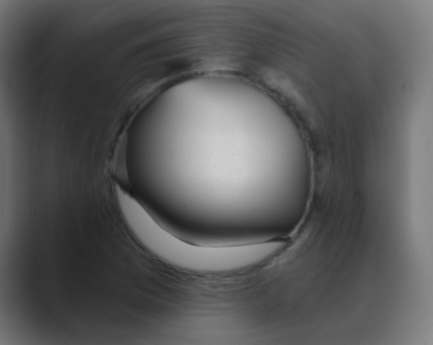 X0000088451169200706191306
