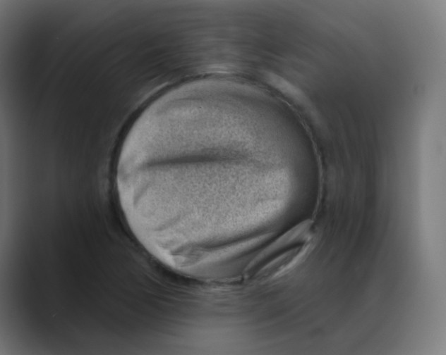 X0000088451170200706191306