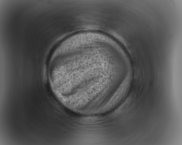 X0000088451171200706191306