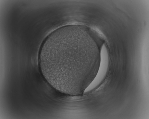 X0000088451173200706191306