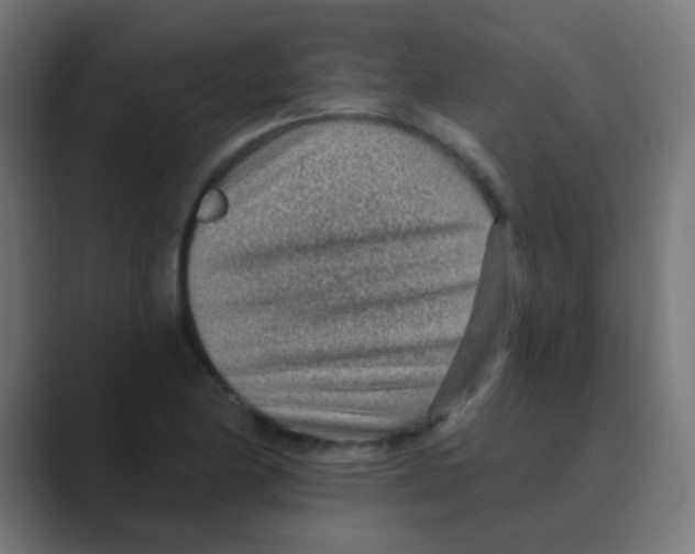 X0000088451174200706191306
