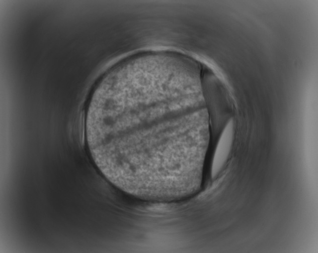 X0000088451175200706191306