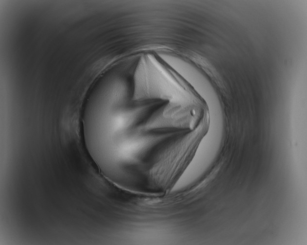 X0000088451177200706191305