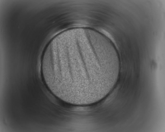 X0000088451179200706191305