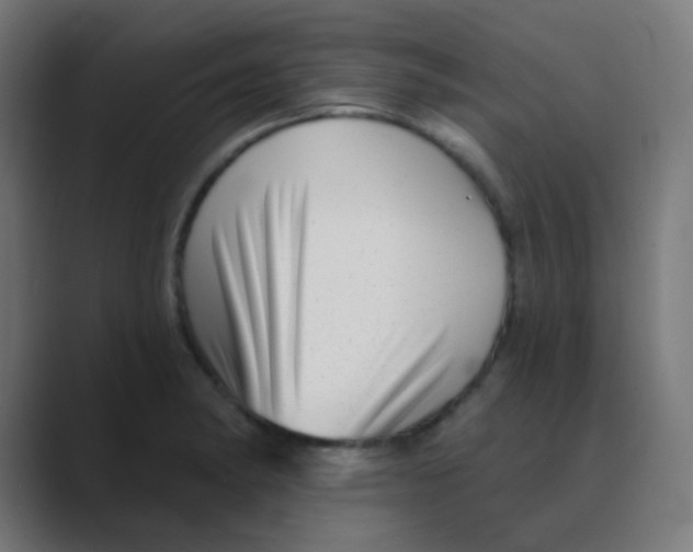 X0000088451182200706191305