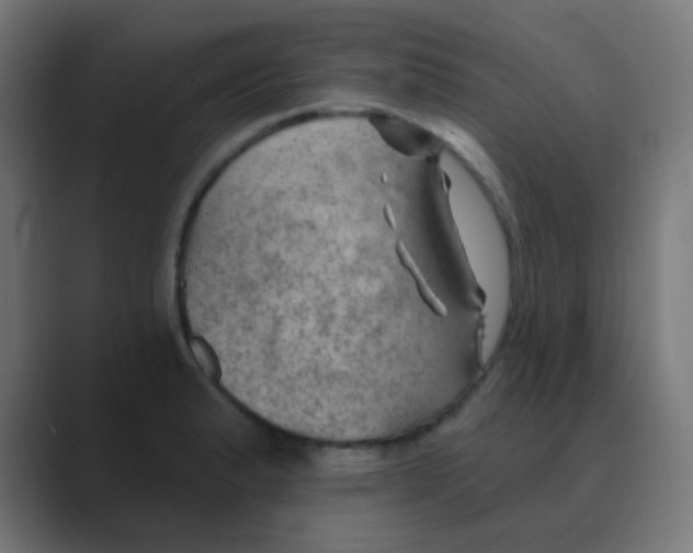 X0000088451183200706191305