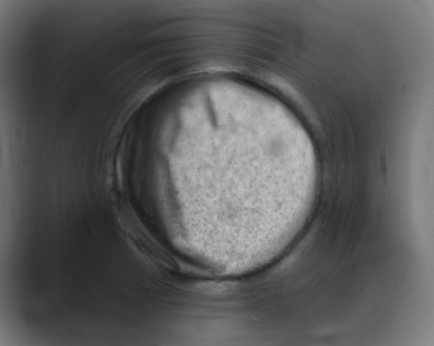 X0000088451185200706191305