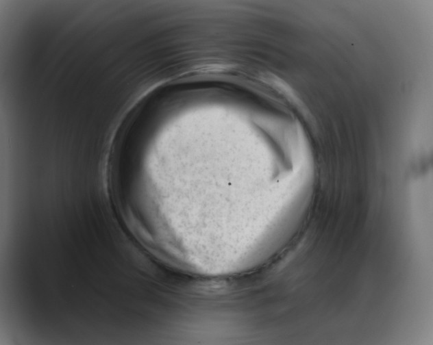 X0000088451186200706191305