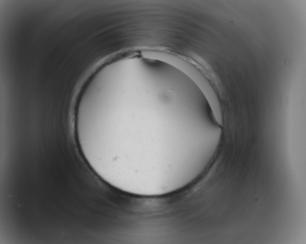 X0000088451188200706191305