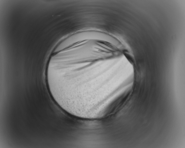 X0000088451189200706191305
