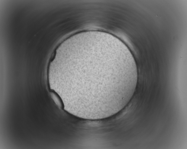 X0000088451191200706191305
