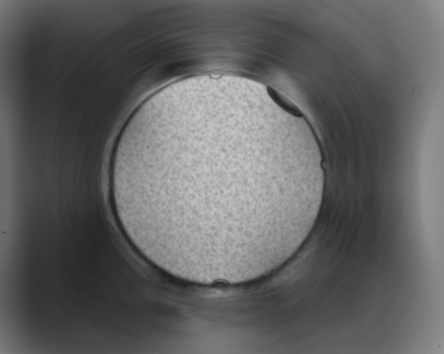 X0000088451195200706191305