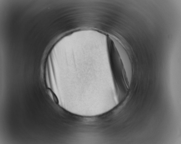 X0000088451196200706191305