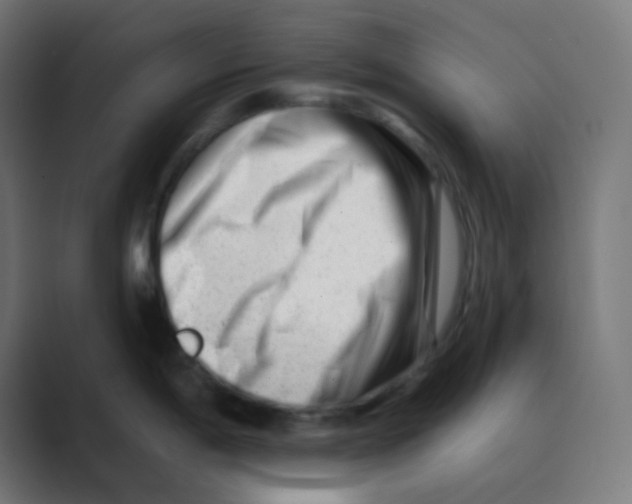 X0000088451198200706191305