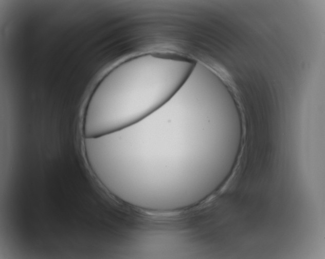 X0000088451200200706191305