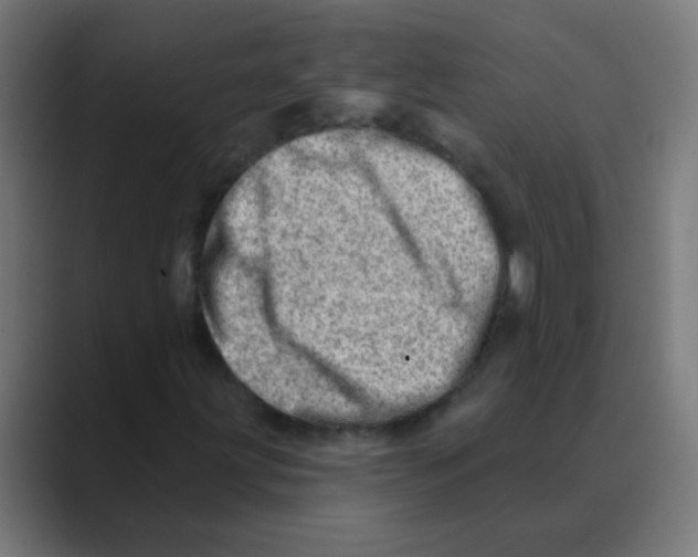 X0000088451203200706191305