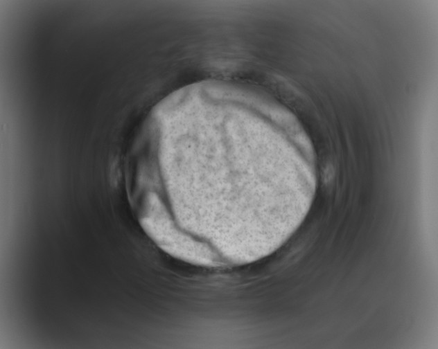 X0000088451204200706191305