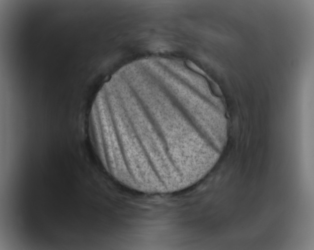 X0000088451205200706191305