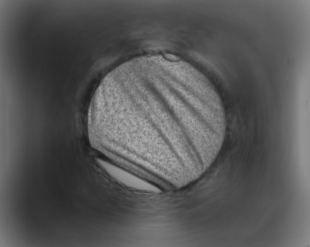 X0000088451207200706191305
