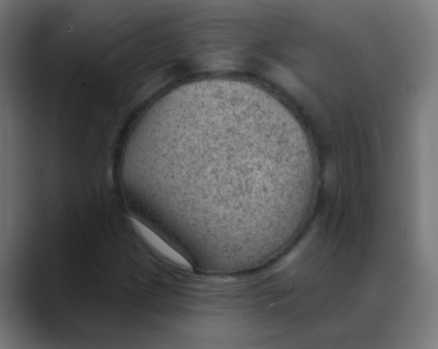 X0000088451209200706191305