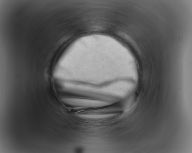 X0000088451210200706191305