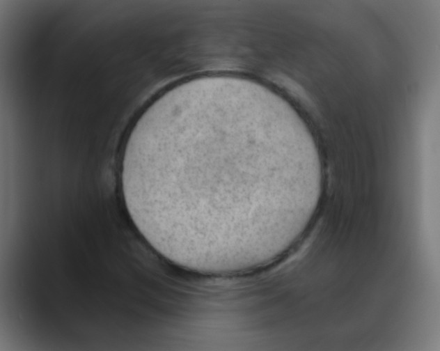 X0000088451212200706191305