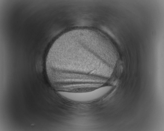 X0000088451213200706191305