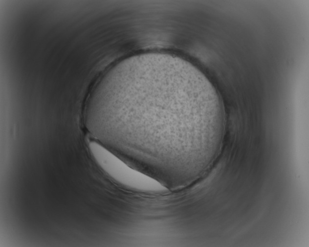 X0000088451217200706191305