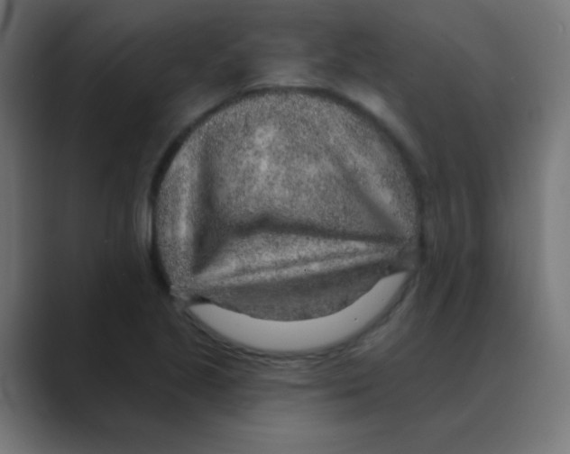 X0000088451221200706191305