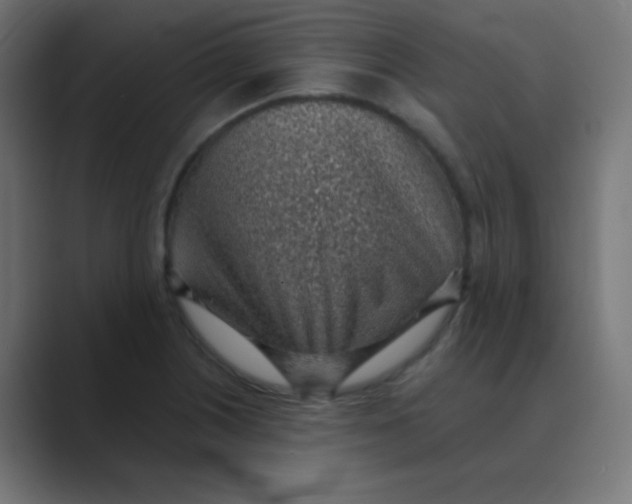 X0000088451226200706191305