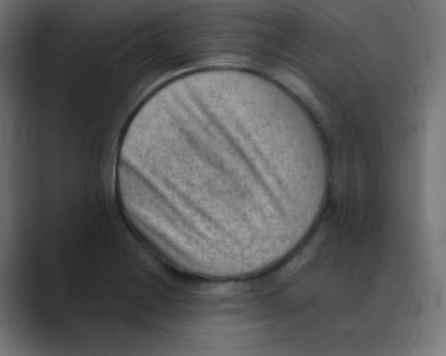 X0000088451228200706191305