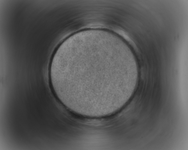 X0000088451229200706191305