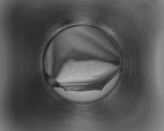 X0000088451230200706191305