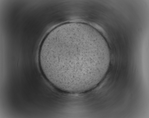 X0000088451231200706191305