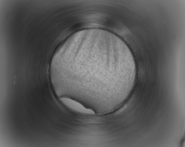 X0000088451233200706191305