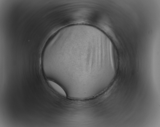 X0000088451234200706191305