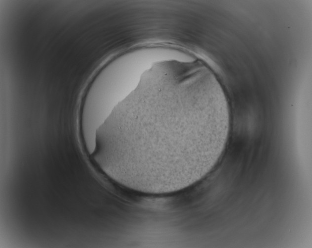 X0000088451237200706191305