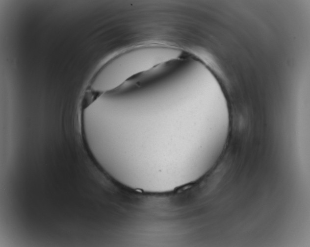 X0000088451238200706191305