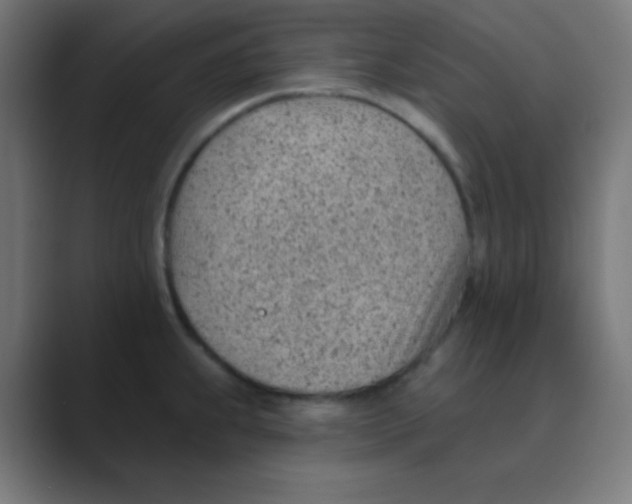 X0000088451239200706191305