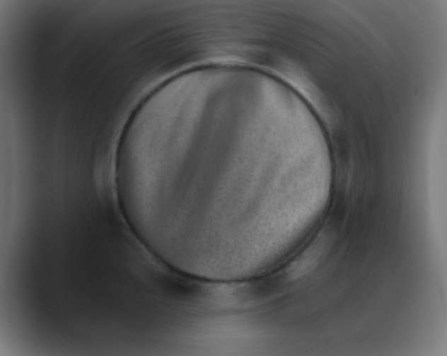 X0000088451240200706191305