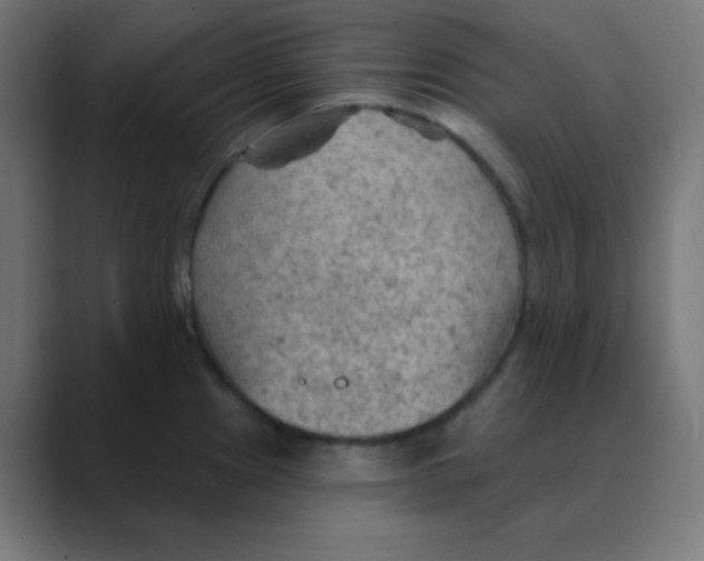 X0000088451241200706191305